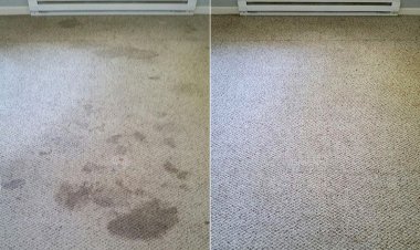 Why Choose Affordable Carpet Cleaning Services?
