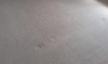 Unpleasant Carpet Smells? Some Of The Main Causes Are Listed Below