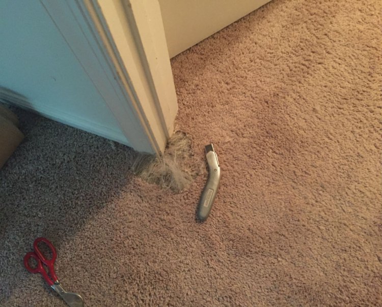 Types of Carpet Repair Services Offered by Experts