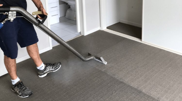 How Often Should You Clean Your Carpet?