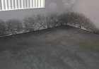 Importance of The Carpet Water Damage Restoration