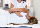 Osteopathy: An In-Depth Look at the Healing Power of Hands