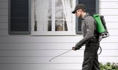 Pest Control Melbourne: Protecting Your Home and Health