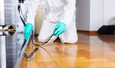 Why Pest Control is Essential for Restaurants: Don't Let Your Reputation Get Eaten Alive!
