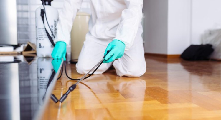 Why Pest Control is Essential for Restaurants: Don't Let Your Reputation Get Eaten Alive!